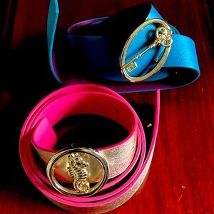 Set of 2: Adjustable, Reversible Belts